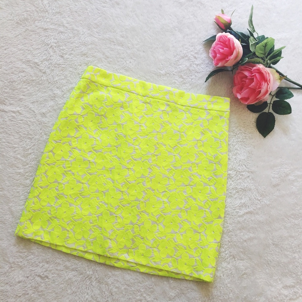 J. Crew embroidered skirt